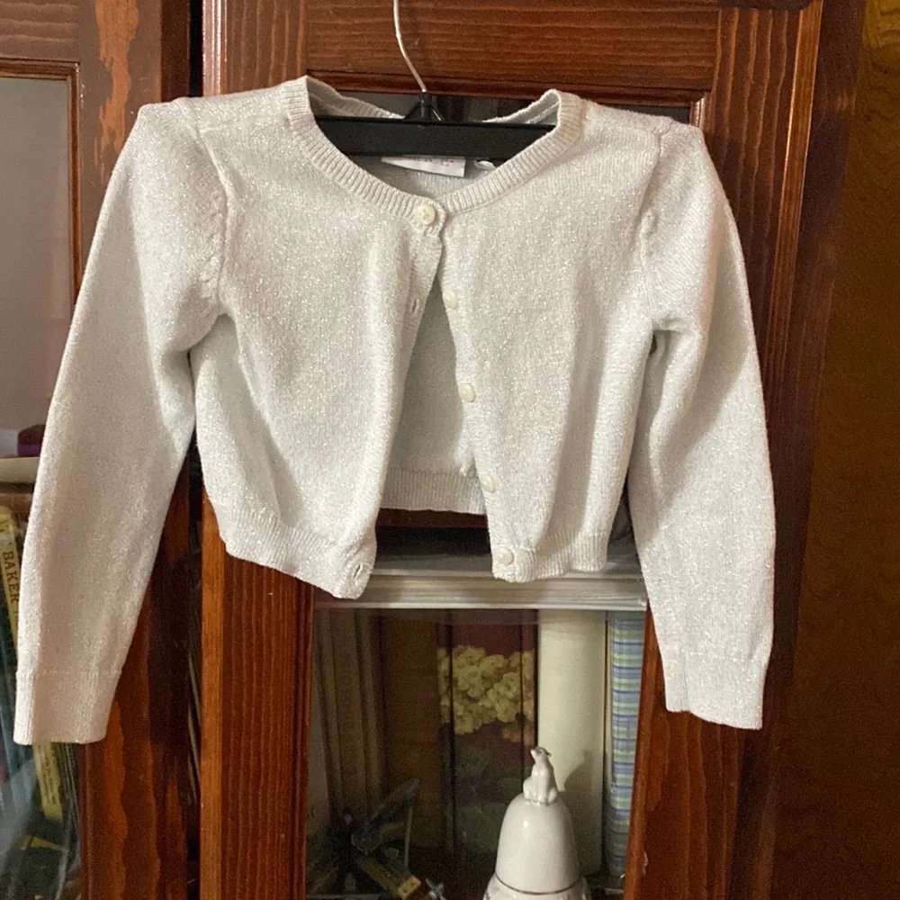The Children’s Place Toddler Silver Sweater Size 4